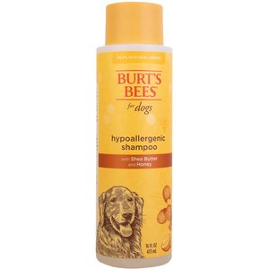 BURT S BEES Oatmeal with Colloidal Oat Flour Honey Dog Shampoo 16 fl oz bottle Chewy