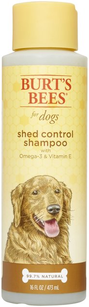 BURT'S BEES Shed Control Dog Shampoo, 16-oz bottle - Chewy.com