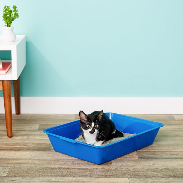 Chewy disposable litter box sale