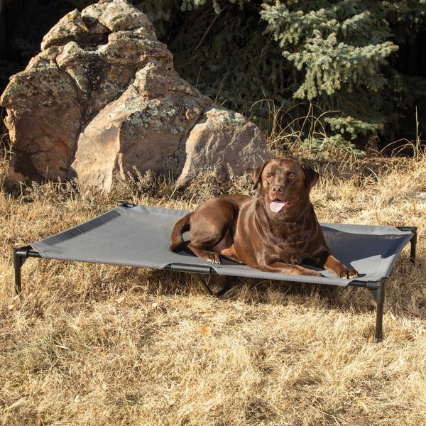 KOPEKS Orthopedic Elevated Bolster Dog Bed with Removable Cover, Gray