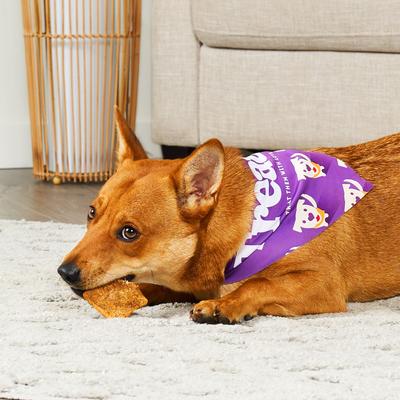 Show full view: Treatly Chicken Flavor Assorted Collagen Crisps, 10-oz bag slide 4 of 10