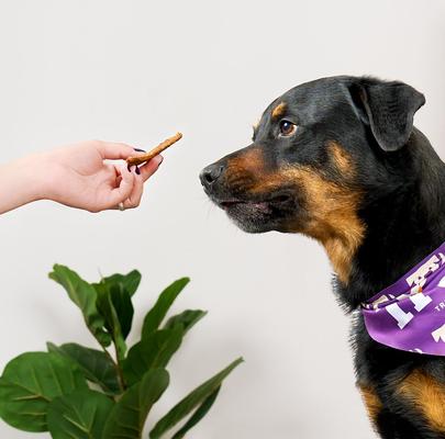 Show full view: Treatly Salmon Flavor Jerky Dog Treats, 5-oz bag slide 4 of 10