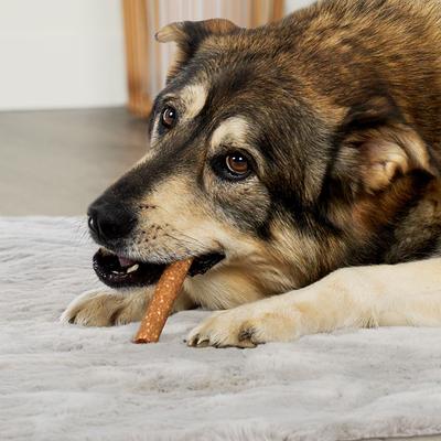 Show full view: Treatly Collagen Smart Sitcks Salmon Flavor Dog Chews, 9-oz bag slide 4 of 10