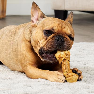 Show full view: Treatly USA Beefhide Bones 5 to 6-in Chicken Flavor Dog Chews, 7 count slide 4 of 10