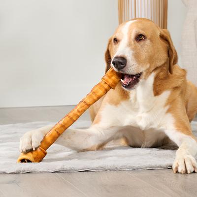 Show full view: Treatly USA Beefhide Bones 15 to 17-in Chicken Flavor Dog Chews slide 4 of 10