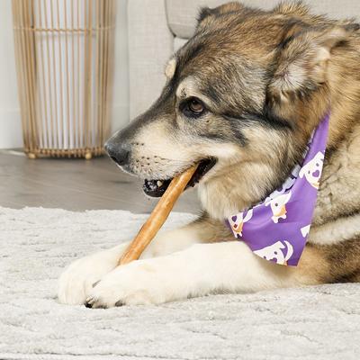 Show full view: Treatly USA Beefhide Chip Rolls 10 to 11-in Chicken Flavor Dog Chews, 10 count slide 4 of 10