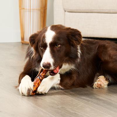 Show full view: Treatly USA Beefhide Rolls 6 to 7-in Chicken & Beef Flavor Dog Chews, 5 count slide 4 of 10