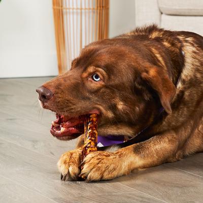 Show full view: Treatly USA Beefhide Rolls 8 to 9-in Chicken & Beef Flavor Dog Chews, 10 count slide 4 of 10