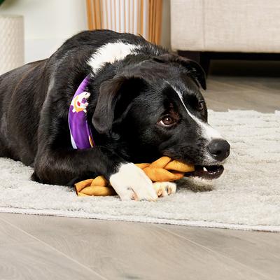 Show full view: Treatly USA Beefhide Braids 7 to 8-in Chicken Flavor Dog Chews, 6 count slide 4 of 10