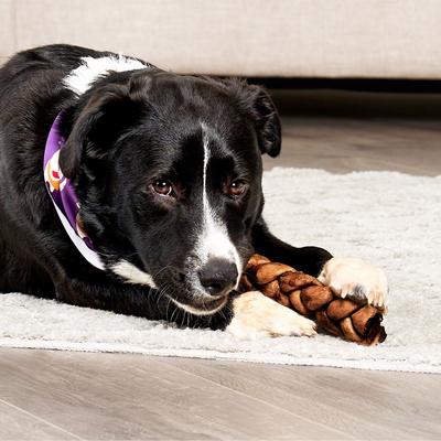 Show full view: Treatly USA Beefhide Braids 7 to 8-in Peanut Butter Flavor Dog Chews, 6 count slide 4 of 10