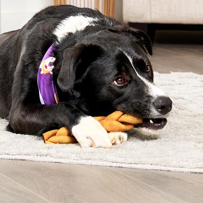 Show full view: Treatly USA Beefhide Braids 7 to 8-in Chicken Flavor Dog Chews, 7 count slide 4 of 10