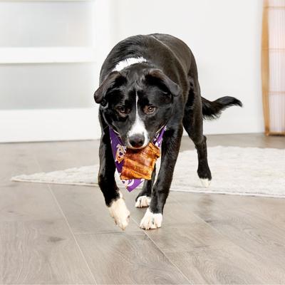 Show full view: Treatly USA Beefhide Chips Chicken & Beef Flavor Dog Chews, 12-oz bag slide 4 of 10