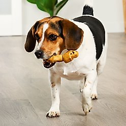 Treatly American Sourced Beefhide Bones 4 to 5-in Chicken Flavor Dog Chews, 10 count slide 2 of 9