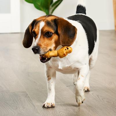 Show full view: Treatly American Sourced Beefhide Bones 4 to 5-in Chicken Flavor Dog Chews, 10 count slide 4 of 10