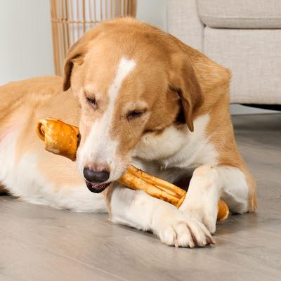 Show full view: Treatly American Beefhide Bones 12 to 13-in Chicken Flavor Dog Chews slide 3 of 10