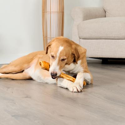 Show full view: Treatly American Beefhide Bones 12 to 13-in Chicken Flavor Dog Chews slide 9 of 10