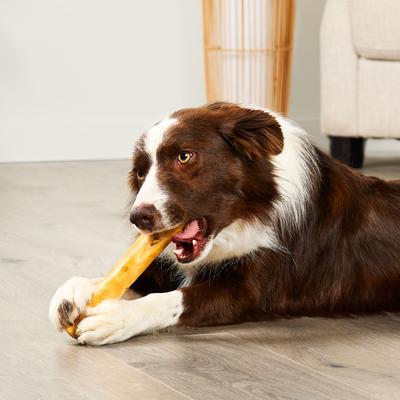 Show full view: Treatly American Sourced Beefhide Rolls 8 to 9-in Chicken Flavor Dog Chews, 10 count slide 4 of 10