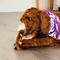 Show in main carousel: Treatly American Sourced Beefhide Chips Peanut Butter Flavor Dog Chews, 22-oz bag slide 4 of 10