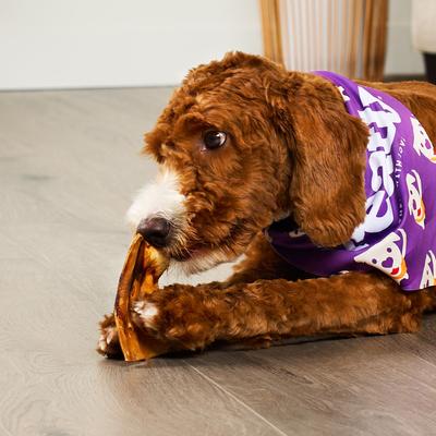 Show full view: Treatly American Sourced Beefhide Chips Peanut Butter Flavor Dog Chews, 22-oz bag slide 4 of 10