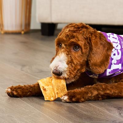 Show full view: Treatly American Sourced Beefhide Chips Chicken Flavor Dog Chews, 22-oz bag slide 4 of 10