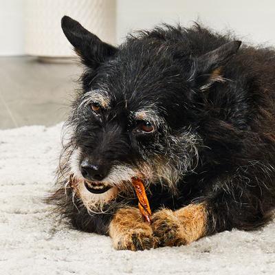 Show full view: Treatly Beefhide Twist Sticks 5-in Peanut Butter Flavor Dog Chews, 1-lb bag slide 4 of 10