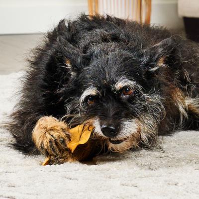 Show full view: Treatly USA Collagen Chips Assorted Chicken Marinade Flavor Dog Chews, 14-oz bag slide 4 of 11