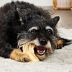 Treatly USA Collagen Chips Assorted Natural Flavor Dog Chews, 14-oz bag slide 2 of 9