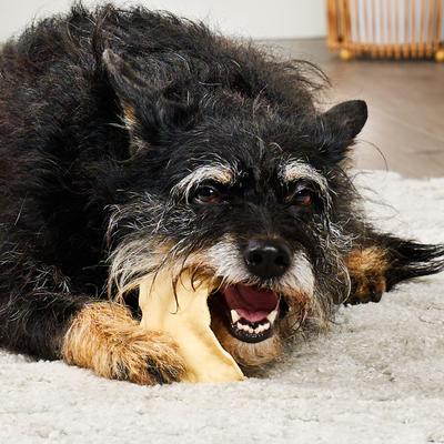 Show full view: Treatly USA Collagen Chips Assorted Natural Flavor Dog Chews, 14-oz bag slide 4 of 10