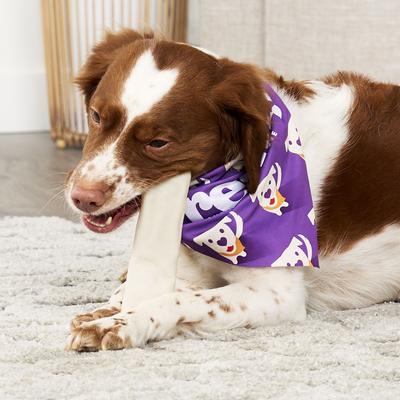 Show full view: Treatly USA Collagen Wraps 6 to 7-in Natural Flavor Dog Chews, 4 count slide 4 of 10