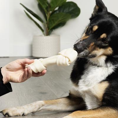 Show full view: Treatly USA Beefhide Bones 7 to 8-in Natural Flavor Dog Chews, 7 count slide 4 of 10