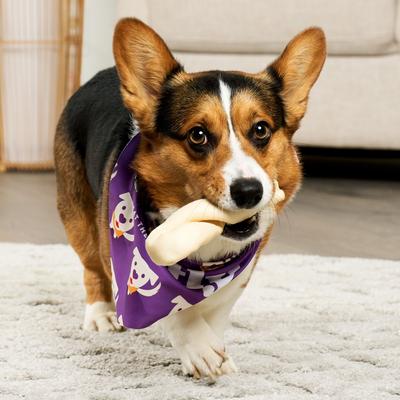 Show full view: Treatly USA Collagen Twist 6 to 7-in Natural Flavor Dog Chews, 2 count slide 4 of 11