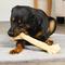 Show in main carousel: Treatly USA Beefhide Bones 15 to 17-in Natural Flavor Dog Chews slide 4 of 10