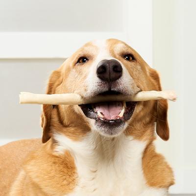 Show full view: Treatly USA Beefhide Chip Rolls 10 to 11-in Natural Flavor Dog Chews, 10 count slide 4 of 10