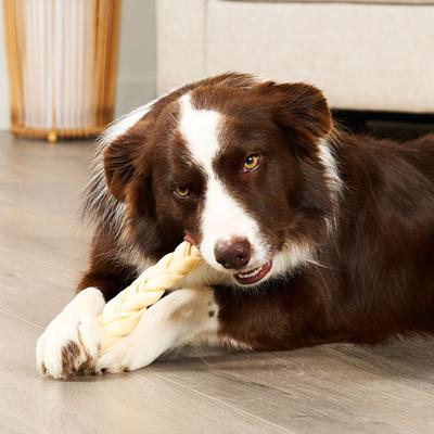 Show full view: Treatly USA Beefhide Braids 7 to 8-in Natural Flavor Dog Chews, 7 count slide 4 of 10