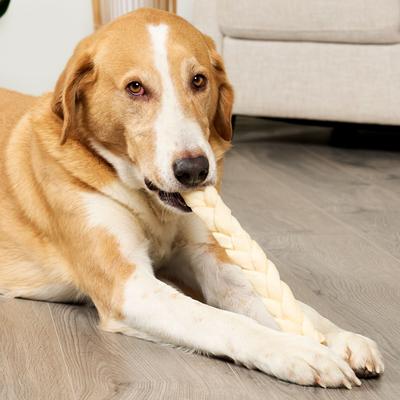 Show full view: Treatly USA Beefhide Braids 12 to 13-in Natural Flavor Dog Chews, 2 count slide 4 of 10
