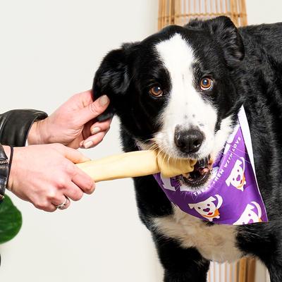 Show full view: Treatly USA Beefhide Large Assorted Natural Flavor Dog Chews, 6 count slide 4 of 10