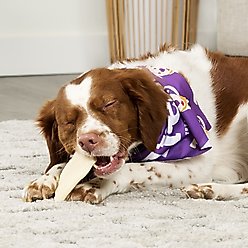 Treatly USA Beefhide Chips Natural Flavor Dog Chews, 12-oz bag slide 2 of 9