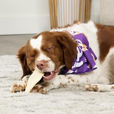 Show full view: Treatly USA Beefhide Chips Natural Flavor Dog Chews, 12-oz bag slide 4 of 10