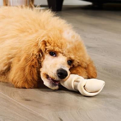 Show full view: Treatly American Sourced Beefhide Bones 6 to 7-in Natural Flavor Dog Chews, 10 count slide 4 of 10