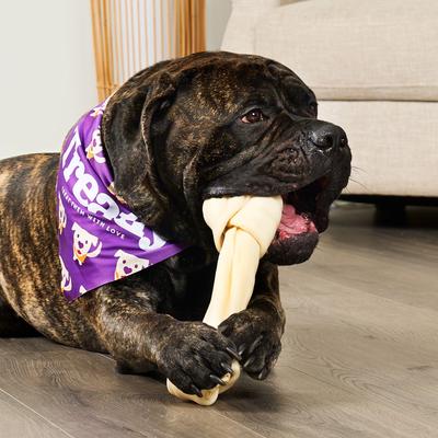 Show full view: Treatly American Sourced Beefhide Bones 12 to 13-in Natural Flavor Dog Chews slide 4 of 10