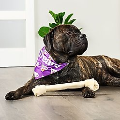 Treatly American Sourced Beefhide Bones 15 to 17-in Natural Flavor Dog Chews slide 2 of 9