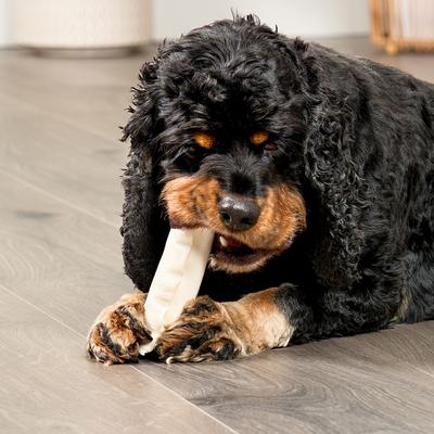 Show full view: Treatly American Sourced Beefhide Rolls 4 to 5-in Natural Flavor Dog Chews, 10 count slide 4 of 10