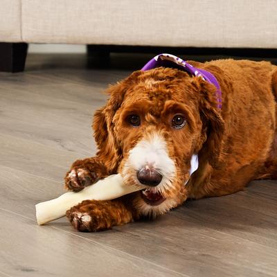 Show full view: Treatly American Sourced Beefhide Rolls 6 to 7-in Natural Flavor Dog Chews, 4 count slide 3 of 10