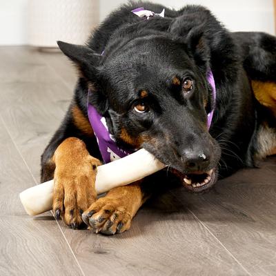 Show full view: Treatly American Sourced Beefhide Rolls 8 to 9-in Natural Flavor Dog Chews, 10 count slide 4 of 10