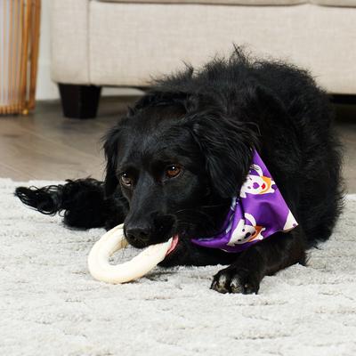 Show full view: Treatly American Sourced Beefhide Donut 3 to 4-in Natural Flavor Dog Chews, 8 count slide 4 of 10