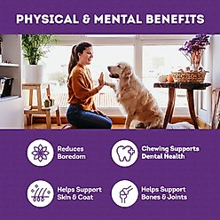 Treatly American Sourced Beefhide Chips Natural Flavor Dog Chews, 32-oz bag slide 2 of 9