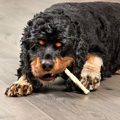 Show full view: Treatly Beefhide Munchy Sticks 5-in Natural Flavor Dog Chews, 40 count slide 4 of 10