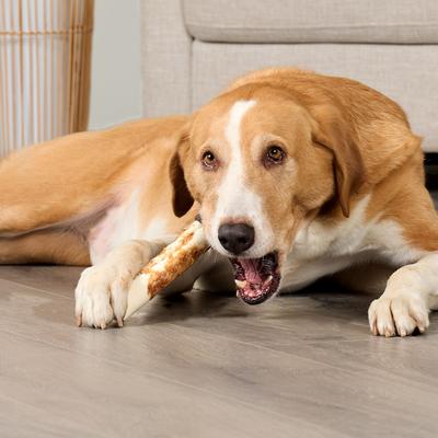 Show full view: Treatly Combo Beefhide Rolls 7-in with Beef Meat Wrap Dog Chews, 3 count slide 4 of 10