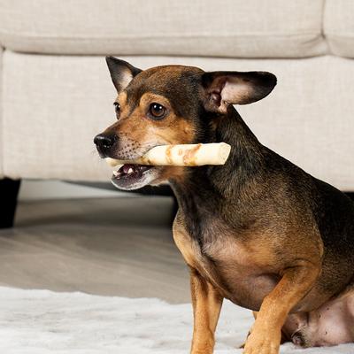 Show full view: Treatly Combo Beefhide Chip Rolls 5-in with Beef Meat Wrap Dog Chews, 10 count slide 4 of 10