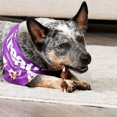 Show full view: Treatly Combo Pork Flavor Rawhide Kabob 5-in with Duck & Chicken Meat Wrap Dog Chews, 18 count slide 4 of 10